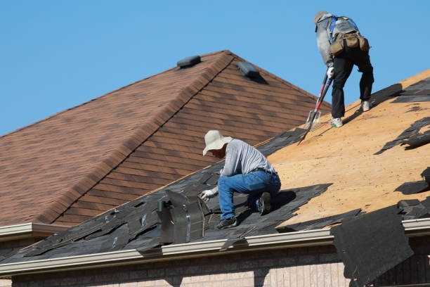 Best Roof Leak Repair  in Green Forest, AR