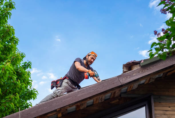 Best Commercial Roofing Services  in Green Forest, AR