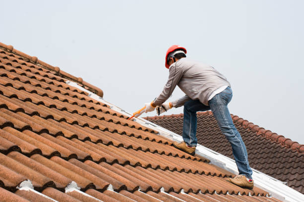 Best Rubber Roofing (EPDM, TPO)  in Green Forest, AR
